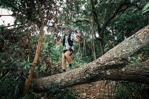 BIB: 
                            <button type="button" onclick="openModal(25544239)" class="btn btn-primary btn-sm float-right btn-popup" data-toggle="modal" data-target=".modal-high-quality">
                        <i class="fas fa-shopping-cart"></i> Add to Cart
                    </button>
                                            <button type="button" onclick="isThisMe(25544239, true)" class="btn btn-success btn-sm float-right btn-popup btn-isme hidden" data-toggle="tooltip" data-placement="bottom" title="นี่คือรูปของคุณใช่ไหม คลิกที่นี่เพื่อเอาเข้าอัลบั้ม">
                        <i class="fas fa-plus"></i> Add to album
                    </button>
                    <button type="button" onclick="isThisMe(25544239, false)" class="btn btn-warning btn-sm float-right btn-popup btn-isnotme hidden">
                        <i class="fas fa-ban"></i> Remove from album
                    </button>