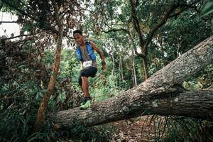 BIB: 
                            <button type="button" onclick="openModal(25533293)" class="btn btn-primary btn-sm float-right btn-popup" data-toggle="modal" data-target=".modal-high-quality">
                        <i class="fas fa-shopping-cart"></i> Add to Cart
                    </button>
                                            <button type="button" onclick="isThisMe(25533293, true)" class="btn btn-success btn-sm float-right btn-popup btn-isme hidden" data-toggle="tooltip" data-placement="bottom" title="นี่คือรูปของคุณใช่ไหม คลิกที่นี่เพื่อเอาเข้าอัลบั้ม">
                        <i class="fas fa-plus"></i> Add to album
                    </button>
                    <button type="button" onclick="isThisMe(25533293, false)" class="btn btn-warning btn-sm float-right btn-popup btn-isnotme hidden">
                        <i class="fas fa-ban"></i> Remove from album
                    </button>