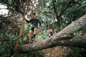 BIB: 
                            <button type="button" onclick="openModal(25546551)" class="btn btn-primary btn-sm float-right btn-popup" data-toggle="modal" data-target=".modal-high-quality">
                        <i class="fas fa-shopping-cart"></i> Add to Cart
                    </button>
                                            <button type="button" onclick="isThisMe(25546551, true)" class="btn btn-success btn-sm float-right btn-popup btn-isme hidden" data-toggle="tooltip" data-placement="bottom" title="นี่คือรูปของคุณใช่ไหม คลิกที่นี่เพื่อเอาเข้าอัลบั้ม">
                        <i class="fas fa-plus"></i> Add to album
                    </button>
                    <button type="button" onclick="isThisMe(25546551, false)" class="btn btn-warning btn-sm float-right btn-popup btn-isnotme hidden">
                        <i class="fas fa-ban"></i> Remove from album
                    </button>