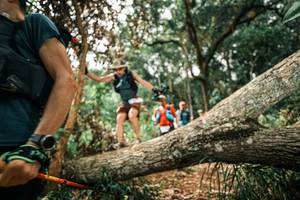 BIB: 
                            <button type="button" onclick="openModal(25545688)" class="btn btn-primary btn-sm float-right btn-popup" data-toggle="modal" data-target=".modal-high-quality">
                        <i class="fas fa-shopping-cart"></i> Add to Cart
                    </button>
                                            <button type="button" onclick="isThisMe(25545688, true)" class="btn btn-success btn-sm float-right btn-popup btn-isme hidden" data-toggle="tooltip" data-placement="bottom" title="นี่คือรูปของคุณใช่ไหม คลิกที่นี่เพื่อเอาเข้าอัลบั้ม">
                        <i class="fas fa-plus"></i> Add to album
                    </button>
                    <button type="button" onclick="isThisMe(25545688, false)" class="btn btn-warning btn-sm float-right btn-popup btn-isnotme hidden">
                        <i class="fas fa-ban"></i> Remove from album
                    </button>