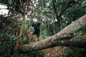 BIB: 
                            <button type="button" onclick="openModal(25546632)" class="btn btn-primary btn-sm float-right btn-popup" data-toggle="modal" data-target=".modal-high-quality">
                        <i class="fas fa-shopping-cart"></i> Add to Cart
                    </button>
                                            <button type="button" onclick="isThisMe(25546632, true)" class="btn btn-success btn-sm float-right btn-popup btn-isme hidden" data-toggle="tooltip" data-placement="bottom" title="นี่คือรูปของคุณใช่ไหม คลิกที่นี่เพื่อเอาเข้าอัลบั้ม">
                        <i class="fas fa-plus"></i> Add to album
                    </button>
                    <button type="button" onclick="isThisMe(25546632, false)" class="btn btn-warning btn-sm float-right btn-popup btn-isnotme hidden">
                        <i class="fas fa-ban"></i> Remove from album
                    </button>