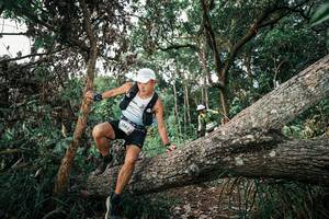 BIB: 
                            <button type="button" onclick="openModal(25528631)" class="btn btn-primary btn-sm float-right btn-popup" data-toggle="modal" data-target=".modal-high-quality">
                        <i class="fas fa-shopping-cart"></i> Add to Cart
                    </button>
                                            <button type="button" onclick="isThisMe(25528631, true)" class="btn btn-success btn-sm float-right btn-popup btn-isme hidden" data-toggle="tooltip" data-placement="bottom" title="นี่คือรูปของคุณใช่ไหม คลิกที่นี่เพื่อเอาเข้าอัลบั้ม">
                        <i class="fas fa-plus"></i> Add to album
                    </button>
                    <button type="button" onclick="isThisMe(25528631, false)" class="btn btn-warning btn-sm float-right btn-popup btn-isnotme hidden">
                        <i class="fas fa-ban"></i> Remove from album
                    </button>