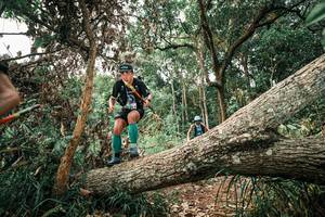 BIB: 
                            <button type="button" onclick="openModal(25529545)" class="btn btn-primary btn-sm float-right btn-popup" data-toggle="modal" data-target=".modal-high-quality">
                        <i class="fas fa-shopping-cart"></i> Add to Cart
                    </button>
                                            <button type="button" onclick="isThisMe(25529545, true)" class="btn btn-success btn-sm float-right btn-popup btn-isme hidden" data-toggle="tooltip" data-placement="bottom" title="นี่คือรูปของคุณใช่ไหม คลิกที่นี่เพื่อเอาเข้าอัลบั้ม">
                        <i class="fas fa-plus"></i> Add to album
                    </button>
                    <button type="button" onclick="isThisMe(25529545, false)" class="btn btn-warning btn-sm float-right btn-popup btn-isnotme hidden">
                        <i class="fas fa-ban"></i> Remove from album
                    </button>