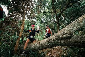 BIB: 
                            <button type="button" onclick="openModal(25549068)" class="btn btn-primary btn-sm float-right btn-popup" data-toggle="modal" data-target=".modal-high-quality">
                        <i class="fas fa-shopping-cart"></i> Add to Cart
                    </button>
                                            <button type="button" onclick="isThisMe(25549068, true)" class="btn btn-success btn-sm float-right btn-popup btn-isme hidden" data-toggle="tooltip" data-placement="bottom" title="นี่คือรูปของคุณใช่ไหม คลิกที่นี่เพื่อเอาเข้าอัลบั้ม">
                        <i class="fas fa-plus"></i> Add to album
                    </button>
                    <button type="button" onclick="isThisMe(25549068, false)" class="btn btn-warning btn-sm float-right btn-popup btn-isnotme hidden">
                        <i class="fas fa-ban"></i> Remove from album
                    </button>