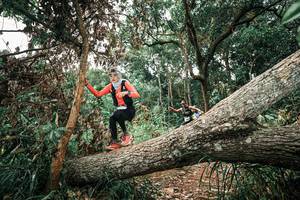 BIB: 
                            <button type="button" onclick="openModal(25544764)" class="btn btn-primary btn-sm float-right btn-popup" data-toggle="modal" data-target=".modal-high-quality">
                        <i class="fas fa-shopping-cart"></i> Add to Cart
                    </button>
                                            <button type="button" onclick="isThisMe(25544764, true)" class="btn btn-success btn-sm float-right btn-popup btn-isme hidden" data-toggle="tooltip" data-placement="bottom" title="นี่คือรูปของคุณใช่ไหม คลิกที่นี่เพื่อเอาเข้าอัลบั้ม">
                        <i class="fas fa-plus"></i> Add to album
                    </button>
                    <button type="button" onclick="isThisMe(25544764, false)" class="btn btn-warning btn-sm float-right btn-popup btn-isnotme hidden">
                        <i class="fas fa-ban"></i> Remove from album
                    </button>