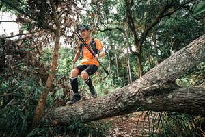 BIB: 
                            <button type="button" onclick="openModal(25533857)" class="btn btn-primary btn-sm float-right btn-popup" data-toggle="modal" data-target=".modal-high-quality">
                        <i class="fas fa-shopping-cart"></i> Add to Cart
                    </button>
                                            <button type="button" onclick="isThisMe(25533857, true)" class="btn btn-success btn-sm float-right btn-popup btn-isme hidden" data-toggle="tooltip" data-placement="bottom" title="นี่คือรูปของคุณใช่ไหม คลิกที่นี่เพื่อเอาเข้าอัลบั้ม">
                        <i class="fas fa-plus"></i> Add to album
                    </button>
                    <button type="button" onclick="isThisMe(25533857, false)" class="btn btn-warning btn-sm float-right btn-popup btn-isnotme hidden">
                        <i class="fas fa-ban"></i> Remove from album
                    </button>