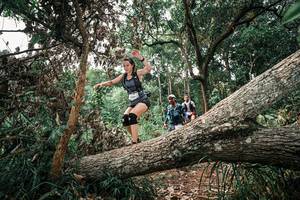 BIB: 
                            <button type="button" onclick="openModal(25529896)" class="btn btn-primary btn-sm float-right btn-popup" data-toggle="modal" data-target=".modal-high-quality">
                        <i class="fas fa-shopping-cart"></i> Add to Cart
                    </button>
                                            <button type="button" onclick="isThisMe(25529896, true)" class="btn btn-success btn-sm float-right btn-popup btn-isme hidden" data-toggle="tooltip" data-placement="bottom" title="นี่คือรูปของคุณใช่ไหม คลิกที่นี่เพื่อเอาเข้าอัลบั้ม">
                        <i class="fas fa-plus"></i> Add to album
                    </button>
                    <button type="button" onclick="isThisMe(25529896, false)" class="btn btn-warning btn-sm float-right btn-popup btn-isnotme hidden">
                        <i class="fas fa-ban"></i> Remove from album
                    </button>