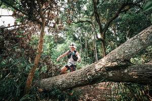 BIB: 
                            <button type="button" onclick="openModal(25533983)" class="btn btn-primary btn-sm float-right btn-popup" data-toggle="modal" data-target=".modal-high-quality">
                        <i class="fas fa-shopping-cart"></i> Add to Cart
                    </button>
                                            <button type="button" onclick="isThisMe(25533983, true)" class="btn btn-success btn-sm float-right btn-popup btn-isme hidden" data-toggle="tooltip" data-placement="bottom" title="นี่คือรูปของคุณใช่ไหม คลิกที่นี่เพื่อเอาเข้าอัลบั้ม">
                        <i class="fas fa-plus"></i> Add to album
                    </button>
                    <button type="button" onclick="isThisMe(25533983, false)" class="btn btn-warning btn-sm float-right btn-popup btn-isnotme hidden">
                        <i class="fas fa-ban"></i> Remove from album
                    </button>