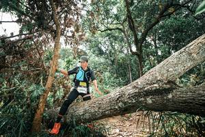 BIB: 
                            <button type="button" onclick="openModal(25552989)" class="btn btn-primary btn-sm float-right btn-popup" data-toggle="modal" data-target=".modal-high-quality">
                        <i class="fas fa-shopping-cart"></i> Add to Cart
                    </button>
                                            <button type="button" onclick="isThisMe(25552989, true)" class="btn btn-success btn-sm float-right btn-popup btn-isme hidden" data-toggle="tooltip" data-placement="bottom" title="นี่คือรูปของคุณใช่ไหม คลิกที่นี่เพื่อเอาเข้าอัลบั้ม">
                        <i class="fas fa-plus"></i> Add to album
                    </button>
                    <button type="button" onclick="isThisMe(25552989, false)" class="btn btn-warning btn-sm float-right btn-popup btn-isnotme hidden">
                        <i class="fas fa-ban"></i> Remove from album
                    </button>