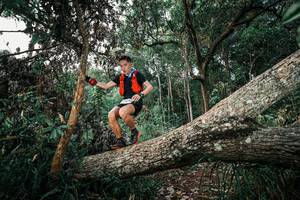 BIB: 
                            <button type="button" onclick="openModal(25527050)" class="btn btn-primary btn-sm float-right btn-popup" data-toggle="modal" data-target=".modal-high-quality">
                        <i class="fas fa-shopping-cart"></i> Add to Cart
                    </button>
                                            <button type="button" onclick="isThisMe(25527050, true)" class="btn btn-success btn-sm float-right btn-popup btn-isme hidden" data-toggle="tooltip" data-placement="bottom" title="นี่คือรูปของคุณใช่ไหม คลิกที่นี่เพื่อเอาเข้าอัลบั้ม">
                        <i class="fas fa-plus"></i> Add to album
                    </button>
                    <button type="button" onclick="isThisMe(25527050, false)" class="btn btn-warning btn-sm float-right btn-popup btn-isnotme hidden">
                        <i class="fas fa-ban"></i> Remove from album
                    </button>