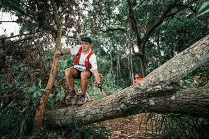 BIB: 
                            <button type="button" onclick="openModal(25545482)" class="btn btn-primary btn-sm float-right btn-popup" data-toggle="modal" data-target=".modal-high-quality">
                        <i class="fas fa-shopping-cart"></i> Add to Cart
                    </button>
                                            <button type="button" onclick="isThisMe(25545482, true)" class="btn btn-success btn-sm float-right btn-popup btn-isme hidden" data-toggle="tooltip" data-placement="bottom" title="นี่คือรูปของคุณใช่ไหม คลิกที่นี่เพื่อเอาเข้าอัลบั้ม">
                        <i class="fas fa-plus"></i> Add to album
                    </button>
                    <button type="button" onclick="isThisMe(25545482, false)" class="btn btn-warning btn-sm float-right btn-popup btn-isnotme hidden">
                        <i class="fas fa-ban"></i> Remove from album
                    </button>