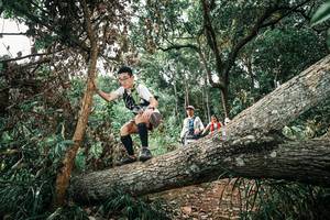 BIB: 
                            <button type="button" onclick="openModal(25543481)" class="btn btn-primary btn-sm float-right btn-popup" data-toggle="modal" data-target=".modal-high-quality">
                        <i class="fas fa-shopping-cart"></i> Add to Cart
                    </button>
                                            <button type="button" onclick="isThisMe(25543481, true)" class="btn btn-success btn-sm float-right btn-popup btn-isme hidden" data-toggle="tooltip" data-placement="bottom" title="นี่คือรูปของคุณใช่ไหม คลิกที่นี่เพื่อเอาเข้าอัลบั้ม">
                        <i class="fas fa-plus"></i> Add to album
                    </button>
                    <button type="button" onclick="isThisMe(25543481, false)" class="btn btn-warning btn-sm float-right btn-popup btn-isnotme hidden">
                        <i class="fas fa-ban"></i> Remove from album
                    </button>