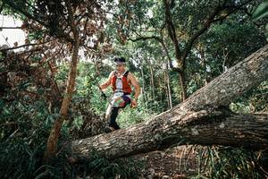 BIB: 
                            <button type="button" onclick="openModal(25534892)" class="btn btn-primary btn-sm float-right btn-popup" data-toggle="modal" data-target=".modal-high-quality">
                        <i class="fas fa-shopping-cart"></i> Add to Cart
                    </button>
                                            <button type="button" onclick="isThisMe(25534892, true)" class="btn btn-success btn-sm float-right btn-popup btn-isme hidden" data-toggle="tooltip" data-placement="bottom" title="นี่คือรูปของคุณใช่ไหม คลิกที่นี่เพื่อเอาเข้าอัลบั้ม">
                        <i class="fas fa-plus"></i> Add to album
                    </button>
                    <button type="button" onclick="isThisMe(25534892, false)" class="btn btn-warning btn-sm float-right btn-popup btn-isnotme hidden">
                        <i class="fas fa-ban"></i> Remove from album
                    </button>