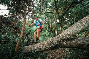 BIB: 
                            <button type="button" onclick="openModal(25526766)" class="btn btn-primary btn-sm float-right btn-popup" data-toggle="modal" data-target=".modal-high-quality">
                        <i class="fas fa-shopping-cart"></i> Add to Cart
                    </button>
                                            <button type="button" onclick="isThisMe(25526766, true)" class="btn btn-success btn-sm float-right btn-popup btn-isme hidden" data-toggle="tooltip" data-placement="bottom" title="นี่คือรูปของคุณใช่ไหม คลิกที่นี่เพื่อเอาเข้าอัลบั้ม">
                        <i class="fas fa-plus"></i> Add to album
                    </button>
                    <button type="button" onclick="isThisMe(25526766, false)" class="btn btn-warning btn-sm float-right btn-popup btn-isnotme hidden">
                        <i class="fas fa-ban"></i> Remove from album
                    </button>