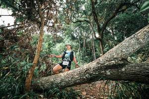 BIB: 
                            <button type="button" onclick="openModal(25541007)" class="btn btn-primary btn-sm float-right btn-popup" data-toggle="modal" data-target=".modal-high-quality">
                        <i class="fas fa-shopping-cart"></i> Add to Cart
                    </button>
                                            <button type="button" onclick="isThisMe(25541007, true)" class="btn btn-success btn-sm float-right btn-popup btn-isme hidden" data-toggle="tooltip" data-placement="bottom" title="นี่คือรูปของคุณใช่ไหม คลิกที่นี่เพื่อเอาเข้าอัลบั้ม">
                        <i class="fas fa-plus"></i> Add to album
                    </button>
                    <button type="button" onclick="isThisMe(25541007, false)" class="btn btn-warning btn-sm float-right btn-popup btn-isnotme hidden">
                        <i class="fas fa-ban"></i> Remove from album
                    </button>