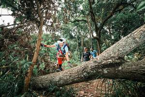 BIB: 
                            <button type="button" onclick="openModal(25544610)" class="btn btn-primary btn-sm float-right btn-popup" data-toggle="modal" data-target=".modal-high-quality">
                        <i class="fas fa-shopping-cart"></i> Add to Cart
                    </button>
                                            <button type="button" onclick="isThisMe(25544610, true)" class="btn btn-success btn-sm float-right btn-popup btn-isme hidden" data-toggle="tooltip" data-placement="bottom" title="นี่คือรูปของคุณใช่ไหม คลิกที่นี่เพื่อเอาเข้าอัลบั้ม">
                        <i class="fas fa-plus"></i> Add to album
                    </button>
                    <button type="button" onclick="isThisMe(25544610, false)" class="btn btn-warning btn-sm float-right btn-popup btn-isnotme hidden">
                        <i class="fas fa-ban"></i> Remove from album
                    </button>