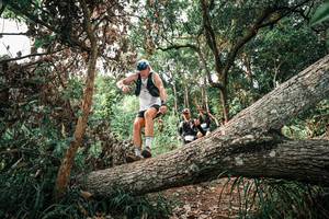 BIB: 
                            <button type="button" onclick="openModal(25531954)" class="btn btn-primary btn-sm float-right btn-popup" data-toggle="modal" data-target=".modal-high-quality">
                        <i class="fas fa-shopping-cart"></i> Add to Cart
                    </button>
                                            <button type="button" onclick="isThisMe(25531954, true)" class="btn btn-success btn-sm float-right btn-popup btn-isme hidden" data-toggle="tooltip" data-placement="bottom" title="นี่คือรูปของคุณใช่ไหม คลิกที่นี่เพื่อเอาเข้าอัลบั้ม">
                        <i class="fas fa-plus"></i> Add to album
                    </button>
                    <button type="button" onclick="isThisMe(25531954, false)" class="btn btn-warning btn-sm float-right btn-popup btn-isnotme hidden">
                        <i class="fas fa-ban"></i> Remove from album
                    </button>