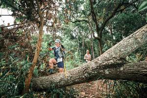 BIB: 
                            <button type="button" onclick="openModal(25545294)" class="btn btn-primary btn-sm float-right btn-popup" data-toggle="modal" data-target=".modal-high-quality">
                        <i class="fas fa-shopping-cart"></i> Add to Cart
                    </button>
                                            <button type="button" onclick="isThisMe(25545294, true)" class="btn btn-success btn-sm float-right btn-popup btn-isme hidden" data-toggle="tooltip" data-placement="bottom" title="นี่คือรูปของคุณใช่ไหม คลิกที่นี่เพื่อเอาเข้าอัลบั้ม">
                        <i class="fas fa-plus"></i> Add to album
                    </button>
                    <button type="button" onclick="isThisMe(25545294, false)" class="btn btn-warning btn-sm float-right btn-popup btn-isnotme hidden">
                        <i class="fas fa-ban"></i> Remove from album
                    </button>