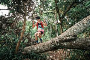 BIB: 
                            <button type="button" onclick="openModal(25529259)" class="btn btn-primary btn-sm float-right btn-popup" data-toggle="modal" data-target=".modal-high-quality">
                        <i class="fas fa-shopping-cart"></i> Add to Cart
                    </button>
                                            <button type="button" onclick="isThisMe(25529259, true)" class="btn btn-success btn-sm float-right btn-popup btn-isme hidden" data-toggle="tooltip" data-placement="bottom" title="นี่คือรูปของคุณใช่ไหม คลิกที่นี่เพื่อเอาเข้าอัลบั้ม">
                        <i class="fas fa-plus"></i> Add to album
                    </button>
                    <button type="button" onclick="isThisMe(25529259, false)" class="btn btn-warning btn-sm float-right btn-popup btn-isnotme hidden">
                        <i class="fas fa-ban"></i> Remove from album
                    </button>