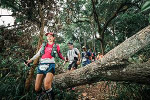 BIB: 
                            <button type="button" onclick="openModal(25538770)" class="btn btn-primary btn-sm float-right btn-popup" data-toggle="modal" data-target=".modal-high-quality">
                        <i class="fas fa-shopping-cart"></i> Add to Cart
                    </button>
                                            <button type="button" onclick="isThisMe(25538770, true)" class="btn btn-success btn-sm float-right btn-popup btn-isme hidden" data-toggle="tooltip" data-placement="bottom" title="นี่คือรูปของคุณใช่ไหม คลิกที่นี่เพื่อเอาเข้าอัลบั้ม">
                        <i class="fas fa-plus"></i> Add to album
                    </button>
                    <button type="button" onclick="isThisMe(25538770, false)" class="btn btn-warning btn-sm float-right btn-popup btn-isnotme hidden">
                        <i class="fas fa-ban"></i> Remove from album
                    </button>