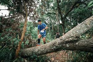 BIB: 
                            <button type="button" onclick="openModal(25542423)" class="btn btn-primary btn-sm float-right btn-popup" data-toggle="modal" data-target=".modal-high-quality">
                        <i class="fas fa-shopping-cart"></i> Add to Cart
                    </button>
                                            <button type="button" onclick="isThisMe(25542423, true)" class="btn btn-success btn-sm float-right btn-popup btn-isme hidden" data-toggle="tooltip" data-placement="bottom" title="นี่คือรูปของคุณใช่ไหม คลิกที่นี่เพื่อเอาเข้าอัลบั้ม">
                        <i class="fas fa-plus"></i> Add to album
                    </button>
                    <button type="button" onclick="isThisMe(25542423, false)" class="btn btn-warning btn-sm float-right btn-popup btn-isnotme hidden">
                        <i class="fas fa-ban"></i> Remove from album
                    </button>