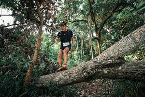 BIB: 
                            <button type="button" onclick="openModal(25527832)" class="btn btn-primary btn-sm float-right btn-popup" data-toggle="modal" data-target=".modal-high-quality">
                        <i class="fas fa-shopping-cart"></i> Add to Cart
                    </button>
                                            <button type="button" onclick="isThisMe(25527832, true)" class="btn btn-success btn-sm float-right btn-popup btn-isme hidden" data-toggle="tooltip" data-placement="bottom" title="นี่คือรูปของคุณใช่ไหม คลิกที่นี่เพื่อเอาเข้าอัลบั้ม">
                        <i class="fas fa-plus"></i> Add to album
                    </button>
                    <button type="button" onclick="isThisMe(25527832, false)" class="btn btn-warning btn-sm float-right btn-popup btn-isnotme hidden">
                        <i class="fas fa-ban"></i> Remove from album
                    </button>