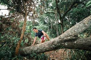 BIB: 
                            <button type="button" onclick="openModal(25540418)" class="btn btn-primary btn-sm float-right btn-popup" data-toggle="modal" data-target=".modal-high-quality">
                        <i class="fas fa-shopping-cart"></i> Add to Cart
                    </button>
                                            <button type="button" onclick="isThisMe(25540418, true)" class="btn btn-success btn-sm float-right btn-popup btn-isme hidden" data-toggle="tooltip" data-placement="bottom" title="นี่คือรูปของคุณใช่ไหม คลิกที่นี่เพื่อเอาเข้าอัลบั้ม">
                        <i class="fas fa-plus"></i> Add to album
                    </button>
                    <button type="button" onclick="isThisMe(25540418, false)" class="btn btn-warning btn-sm float-right btn-popup btn-isnotme hidden">
                        <i class="fas fa-ban"></i> Remove from album
                    </button>