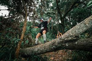 BIB: 
                            <button type="button" onclick="openModal(25550157)" class="btn btn-primary btn-sm float-right btn-popup" data-toggle="modal" data-target=".modal-high-quality">
                        <i class="fas fa-shopping-cart"></i> Add to Cart
                    </button>
                                            <button type="button" onclick="isThisMe(25550157, true)" class="btn btn-success btn-sm float-right btn-popup btn-isme hidden" data-toggle="tooltip" data-placement="bottom" title="นี่คือรูปของคุณใช่ไหม คลิกที่นี่เพื่อเอาเข้าอัลบั้ม">
                        <i class="fas fa-plus"></i> Add to album
                    </button>
                    <button type="button" onclick="isThisMe(25550157, false)" class="btn btn-warning btn-sm float-right btn-popup btn-isnotme hidden">
                        <i class="fas fa-ban"></i> Remove from album
                    </button>