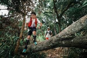 BIB: 
                            <button type="button" onclick="openModal(25549135)" class="btn btn-primary btn-sm float-right btn-popup" data-toggle="modal" data-target=".modal-high-quality">
                        <i class="fas fa-shopping-cart"></i> Add to Cart
                    </button>
                                            <button type="button" onclick="isThisMe(25549135, true)" class="btn btn-success btn-sm float-right btn-popup btn-isme hidden" data-toggle="tooltip" data-placement="bottom" title="นี่คือรูปของคุณใช่ไหม คลิกที่นี่เพื่อเอาเข้าอัลบั้ม">
                        <i class="fas fa-plus"></i> Add to album
                    </button>
                    <button type="button" onclick="isThisMe(25549135, false)" class="btn btn-warning btn-sm float-right btn-popup btn-isnotme hidden">
                        <i class="fas fa-ban"></i> Remove from album
                    </button>