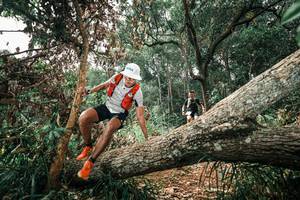 BIB: 
                            <button type="button" onclick="openModal(25547982)" class="btn btn-primary btn-sm float-right btn-popup" data-toggle="modal" data-target=".modal-high-quality">
                        <i class="fas fa-shopping-cart"></i> Add to Cart
                    </button>
                                            <button type="button" onclick="isThisMe(25547982, true)" class="btn btn-success btn-sm float-right btn-popup btn-isme hidden" data-toggle="tooltip" data-placement="bottom" title="นี่คือรูปของคุณใช่ไหม คลิกที่นี่เพื่อเอาเข้าอัลบั้ม">
                        <i class="fas fa-plus"></i> Add to album
                    </button>
                    <button type="button" onclick="isThisMe(25547982, false)" class="btn btn-warning btn-sm float-right btn-popup btn-isnotme hidden">
                        <i class="fas fa-ban"></i> Remove from album
                    </button>