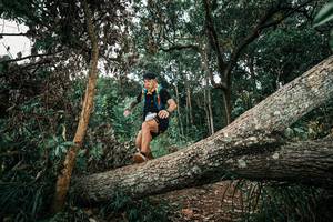 BIB: 
                            <button type="button" onclick="openModal(25544058)" class="btn btn-primary btn-sm float-right btn-popup" data-toggle="modal" data-target=".modal-high-quality">
                        <i class="fas fa-shopping-cart"></i> Add to Cart
                    </button>
                                            <button type="button" onclick="isThisMe(25544058, true)" class="btn btn-success btn-sm float-right btn-popup btn-isme hidden" data-toggle="tooltip" data-placement="bottom" title="นี่คือรูปของคุณใช่ไหม คลิกที่นี่เพื่อเอาเข้าอัลบั้ม">
                        <i class="fas fa-plus"></i> Add to album
                    </button>
                    <button type="button" onclick="isThisMe(25544058, false)" class="btn btn-warning btn-sm float-right btn-popup btn-isnotme hidden">
                        <i class="fas fa-ban"></i> Remove from album
                    </button>