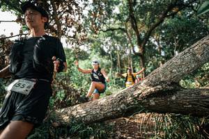 BIB: 
                            <button type="button" onclick="openModal(25535082)" class="btn btn-primary btn-sm float-right btn-popup" data-toggle="modal" data-target=".modal-high-quality">
                        <i class="fas fa-shopping-cart"></i> Add to Cart
                    </button>
                                            <button type="button" onclick="isThisMe(25535082, true)" class="btn btn-success btn-sm float-right btn-popup btn-isme hidden" data-toggle="tooltip" data-placement="bottom" title="นี่คือรูปของคุณใช่ไหม คลิกที่นี่เพื่อเอาเข้าอัลบั้ม">
                        <i class="fas fa-plus"></i> Add to album
                    </button>
                    <button type="button" onclick="isThisMe(25535082, false)" class="btn btn-warning btn-sm float-right btn-popup btn-isnotme hidden">
                        <i class="fas fa-ban"></i> Remove from album
                    </button>