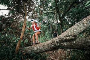 BIB: 
                            <button type="button" onclick="openModal(25536687)" class="btn btn-primary btn-sm float-right btn-popup" data-toggle="modal" data-target=".modal-high-quality">
                        <i class="fas fa-shopping-cart"></i> Add to Cart
                    </button>
                                            <button type="button" onclick="isThisMe(25536687, true)" class="btn btn-success btn-sm float-right btn-popup btn-isme hidden" data-toggle="tooltip" data-placement="bottom" title="นี่คือรูปของคุณใช่ไหม คลิกที่นี่เพื่อเอาเข้าอัลบั้ม">
                        <i class="fas fa-plus"></i> Add to album
                    </button>
                    <button type="button" onclick="isThisMe(25536687, false)" class="btn btn-warning btn-sm float-right btn-popup btn-isnotme hidden">
                        <i class="fas fa-ban"></i> Remove from album
                    </button>