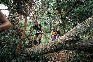 BIB: 
                            <button type="button" onclick="openModal(25533462)" class="btn btn-primary btn-sm float-right btn-popup" data-toggle="modal" data-target=".modal-high-quality">
                        <i class="fas fa-shopping-cart"></i> Add to Cart
                    </button>
                                            <button type="button" onclick="isThisMe(25533462, true)" class="btn btn-success btn-sm float-right btn-popup btn-isme hidden" data-toggle="tooltip" data-placement="bottom" title="นี่คือรูปของคุณใช่ไหม คลิกที่นี่เพื่อเอาเข้าอัลบั้ม">
                        <i class="fas fa-plus"></i> Add to album
                    </button>
                    <button type="button" onclick="isThisMe(25533462, false)" class="btn btn-warning btn-sm float-right btn-popup btn-isnotme hidden">
                        <i class="fas fa-ban"></i> Remove from album
                    </button>