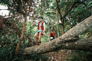 BIB: 
                            <button type="button" onclick="openModal(25528944)" class="btn btn-primary btn-sm float-right btn-popup" data-toggle="modal" data-target=".modal-high-quality">
                        <i class="fas fa-shopping-cart"></i> Add to Cart
                    </button>
                                            <button type="button" onclick="isThisMe(25528944, true)" class="btn btn-success btn-sm float-right btn-popup btn-isme hidden" data-toggle="tooltip" data-placement="bottom" title="นี่คือรูปของคุณใช่ไหม คลิกที่นี่เพื่อเอาเข้าอัลบั้ม">
                        <i class="fas fa-plus"></i> Add to album
                    </button>
                    <button type="button" onclick="isThisMe(25528944, false)" class="btn btn-warning btn-sm float-right btn-popup btn-isnotme hidden">
                        <i class="fas fa-ban"></i> Remove from album
                    </button>