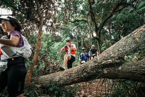 BIB: 
                            <button type="button" onclick="openModal(25531478)" class="btn btn-primary btn-sm float-right btn-popup" data-toggle="modal" data-target=".modal-high-quality">
                        <i class="fas fa-shopping-cart"></i> Add to Cart
                    </button>
                                            <button type="button" onclick="isThisMe(25531478, true)" class="btn btn-success btn-sm float-right btn-popup btn-isme hidden" data-toggle="tooltip" data-placement="bottom" title="นี่คือรูปของคุณใช่ไหม คลิกที่นี่เพื่อเอาเข้าอัลบั้ม">
                        <i class="fas fa-plus"></i> Add to album
                    </button>
                    <button type="button" onclick="isThisMe(25531478, false)" class="btn btn-warning btn-sm float-right btn-popup btn-isnotme hidden">
                        <i class="fas fa-ban"></i> Remove from album
                    </button>