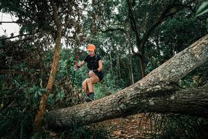 BIB: 
                            <button type="button" onclick="openModal(25551183)" class="btn btn-primary btn-sm float-right btn-popup" data-toggle="modal" data-target=".modal-high-quality">
                        <i class="fas fa-shopping-cart"></i> Add to Cart
                    </button>
                                            <button type="button" onclick="isThisMe(25551183, true)" class="btn btn-success btn-sm float-right btn-popup btn-isme hidden" data-toggle="tooltip" data-placement="bottom" title="นี่คือรูปของคุณใช่ไหม คลิกที่นี่เพื่อเอาเข้าอัลบั้ม">
                        <i class="fas fa-plus"></i> Add to album
                    </button>
                    <button type="button" onclick="isThisMe(25551183, false)" class="btn btn-warning btn-sm float-right btn-popup btn-isnotme hidden">
                        <i class="fas fa-ban"></i> Remove from album
                    </button>