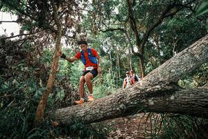 BIB: 
                            <button type="button" onclick="openModal(25532601)" class="btn btn-primary btn-sm float-right btn-popup" data-toggle="modal" data-target=".modal-high-quality">
                        <i class="fas fa-shopping-cart"></i> Add to Cart
                    </button>
                                            <button type="button" onclick="isThisMe(25532601, true)" class="btn btn-success btn-sm float-right btn-popup btn-isme hidden" data-toggle="tooltip" data-placement="bottom" title="นี่คือรูปของคุณใช่ไหม คลิกที่นี่เพื่อเอาเข้าอัลบั้ม">
                        <i class="fas fa-plus"></i> Add to album
                    </button>
                    <button type="button" onclick="isThisMe(25532601, false)" class="btn btn-warning btn-sm float-right btn-popup btn-isnotme hidden">
                        <i class="fas fa-ban"></i> Remove from album
                    </button>