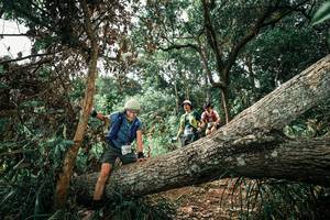 BIB: 
                            <button type="button" onclick="openModal(25549397)" class="btn btn-primary btn-sm float-right btn-popup" data-toggle="modal" data-target=".modal-high-quality">
                        <i class="fas fa-shopping-cart"></i> Add to Cart
                    </button>
                                            <button type="button" onclick="isThisMe(25549397, true)" class="btn btn-success btn-sm float-right btn-popup btn-isme hidden" data-toggle="tooltip" data-placement="bottom" title="นี่คือรูปของคุณใช่ไหม คลิกที่นี่เพื่อเอาเข้าอัลบั้ม">
                        <i class="fas fa-plus"></i> Add to album
                    </button>
                    <button type="button" onclick="isThisMe(25549397, false)" class="btn btn-warning btn-sm float-right btn-popup btn-isnotme hidden">
                        <i class="fas fa-ban"></i> Remove from album
                    </button>