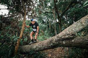 BIB: 
                            <button type="button" onclick="openModal(25544162)" class="btn btn-primary btn-sm float-right btn-popup" data-toggle="modal" data-target=".modal-high-quality">
                        <i class="fas fa-shopping-cart"></i> Add to Cart
                    </button>
                                            <button type="button" onclick="isThisMe(25544162, true)" class="btn btn-success btn-sm float-right btn-popup btn-isme hidden" data-toggle="tooltip" data-placement="bottom" title="นี่คือรูปของคุณใช่ไหม คลิกที่นี่เพื่อเอาเข้าอัลบั้ม">
                        <i class="fas fa-plus"></i> Add to album
                    </button>
                    <button type="button" onclick="isThisMe(25544162, false)" class="btn btn-warning btn-sm float-right btn-popup btn-isnotme hidden">
                        <i class="fas fa-ban"></i> Remove from album
                    </button>