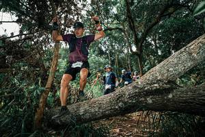 BIB: 
                            <button type="button" onclick="openModal(25548918)" class="btn btn-primary btn-sm float-right btn-popup" data-toggle="modal" data-target=".modal-high-quality">
                        <i class="fas fa-shopping-cart"></i> Add to Cart
                    </button>
                                            <button type="button" onclick="isThisMe(25548918, true)" class="btn btn-success btn-sm float-right btn-popup btn-isme hidden" data-toggle="tooltip" data-placement="bottom" title="นี่คือรูปของคุณใช่ไหม คลิกที่นี่เพื่อเอาเข้าอัลบั้ม">
                        <i class="fas fa-plus"></i> Add to album
                    </button>
                    <button type="button" onclick="isThisMe(25548918, false)" class="btn btn-warning btn-sm float-right btn-popup btn-isnotme hidden">
                        <i class="fas fa-ban"></i> Remove from album
                    </button>