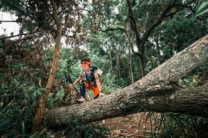 BIB: 
                            <button type="button" onclick="openModal(25547398)" class="btn btn-primary btn-sm float-right btn-popup" data-toggle="modal" data-target=".modal-high-quality">
                        <i class="fas fa-shopping-cart"></i> Add to Cart
                    </button>
                                            <button type="button" onclick="isThisMe(25547398, true)" class="btn btn-success btn-sm float-right btn-popup btn-isme hidden" data-toggle="tooltip" data-placement="bottom" title="นี่คือรูปของคุณใช่ไหม คลิกที่นี่เพื่อเอาเข้าอัลบั้ม">
                        <i class="fas fa-plus"></i> Add to album
                    </button>
                    <button type="button" onclick="isThisMe(25547398, false)" class="btn btn-warning btn-sm float-right btn-popup btn-isnotme hidden">
                        <i class="fas fa-ban"></i> Remove from album
                    </button>