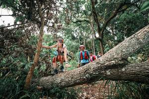 BIB: 
                            <button type="button" onclick="openModal(25529402)" class="btn btn-primary btn-sm float-right btn-popup" data-toggle="modal" data-target=".modal-high-quality">
                        <i class="fas fa-shopping-cart"></i> Add to Cart
                    </button>
                                            <button type="button" onclick="isThisMe(25529402, true)" class="btn btn-success btn-sm float-right btn-popup btn-isme hidden" data-toggle="tooltip" data-placement="bottom" title="นี่คือรูปของคุณใช่ไหม คลิกที่นี่เพื่อเอาเข้าอัลบั้ม">
                        <i class="fas fa-plus"></i> Add to album
                    </button>
                    <button type="button" onclick="isThisMe(25529402, false)" class="btn btn-warning btn-sm float-right btn-popup btn-isnotme hidden">
                        <i class="fas fa-ban"></i> Remove from album
                    </button>