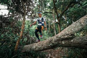 BIB: 
                            <button type="button" onclick="openModal(25527237)" class="btn btn-primary btn-sm float-right btn-popup" data-toggle="modal" data-target=".modal-high-quality">
                        <i class="fas fa-shopping-cart"></i> Add to Cart
                    </button>
                                            <button type="button" onclick="isThisMe(25527237, true)" class="btn btn-success btn-sm float-right btn-popup btn-isme hidden" data-toggle="tooltip" data-placement="bottom" title="นี่คือรูปของคุณใช่ไหม คลิกที่นี่เพื่อเอาเข้าอัลบั้ม">
                        <i class="fas fa-plus"></i> Add to album
                    </button>
                    <button type="button" onclick="isThisMe(25527237, false)" class="btn btn-warning btn-sm float-right btn-popup btn-isnotme hidden">
                        <i class="fas fa-ban"></i> Remove from album
                    </button>