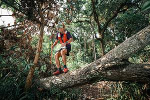 BIB: 
                            <button type="button" onclick="openModal(25535264)" class="btn btn-primary btn-sm float-right btn-popup" data-toggle="modal" data-target=".modal-high-quality">
                        <i class="fas fa-shopping-cart"></i> Add to Cart
                    </button>
                                            <button type="button" onclick="isThisMe(25535264, true)" class="btn btn-success btn-sm float-right btn-popup btn-isme hidden" data-toggle="tooltip" data-placement="bottom" title="นี่คือรูปของคุณใช่ไหม คลิกที่นี่เพื่อเอาเข้าอัลบั้ม">
                        <i class="fas fa-plus"></i> Add to album
                    </button>
                    <button type="button" onclick="isThisMe(25535264, false)" class="btn btn-warning btn-sm float-right btn-popup btn-isnotme hidden">
                        <i class="fas fa-ban"></i> Remove from album
                    </button>