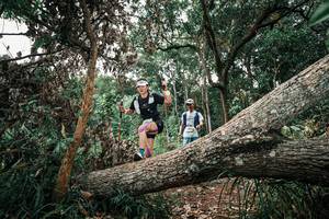 BIB: 
                            <button type="button" onclick="openModal(25530891)" class="btn btn-primary btn-sm float-right btn-popup" data-toggle="modal" data-target=".modal-high-quality">
                        <i class="fas fa-shopping-cart"></i> Add to Cart
                    </button>
                                            <button type="button" onclick="isThisMe(25530891, true)" class="btn btn-success btn-sm float-right btn-popup btn-isme hidden" data-toggle="tooltip" data-placement="bottom" title="นี่คือรูปของคุณใช่ไหม คลิกที่นี่เพื่อเอาเข้าอัลบั้ม">
                        <i class="fas fa-plus"></i> Add to album
                    </button>
                    <button type="button" onclick="isThisMe(25530891, false)" class="btn btn-warning btn-sm float-right btn-popup btn-isnotme hidden">
                        <i class="fas fa-ban"></i> Remove from album
                    </button>