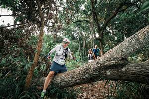 BIB: 
                            <button type="button" onclick="openModal(25531298)" class="btn btn-primary btn-sm float-right btn-popup" data-toggle="modal" data-target=".modal-high-quality">
                        <i class="fas fa-shopping-cart"></i> Add to Cart
                    </button>
                                            <button type="button" onclick="isThisMe(25531298, true)" class="btn btn-success btn-sm float-right btn-popup btn-isme hidden" data-toggle="tooltip" data-placement="bottom" title="นี่คือรูปของคุณใช่ไหม คลิกที่นี่เพื่อเอาเข้าอัลบั้ม">
                        <i class="fas fa-plus"></i> Add to album
                    </button>
                    <button type="button" onclick="isThisMe(25531298, false)" class="btn btn-warning btn-sm float-right btn-popup btn-isnotme hidden">
                        <i class="fas fa-ban"></i> Remove from album
                    </button>