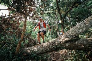 BIB: 
                            <button type="button" onclick="openModal(25535013)" class="btn btn-primary btn-sm float-right btn-popup" data-toggle="modal" data-target=".modal-high-quality">
                        <i class="fas fa-shopping-cart"></i> Add to Cart
                    </button>
                                            <button type="button" onclick="isThisMe(25535013, true)" class="btn btn-success btn-sm float-right btn-popup btn-isme hidden" data-toggle="tooltip" data-placement="bottom" title="นี่คือรูปของคุณใช่ไหม คลิกที่นี่เพื่อเอาเข้าอัลบั้ม">
                        <i class="fas fa-plus"></i> Add to album
                    </button>
                    <button type="button" onclick="isThisMe(25535013, false)" class="btn btn-warning btn-sm float-right btn-popup btn-isnotme hidden">
                        <i class="fas fa-ban"></i> Remove from album
                    </button>