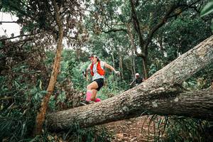 BIB: 
                            <button type="button" onclick="openModal(25544868)" class="btn btn-primary btn-sm float-right btn-popup" data-toggle="modal" data-target=".modal-high-quality">
                        <i class="fas fa-shopping-cart"></i> Add to Cart
                    </button>
                                            <button type="button" onclick="isThisMe(25544868, true)" class="btn btn-success btn-sm float-right btn-popup btn-isme hidden" data-toggle="tooltip" data-placement="bottom" title="นี่คือรูปของคุณใช่ไหม คลิกที่นี่เพื่อเอาเข้าอัลบั้ม">
                        <i class="fas fa-plus"></i> Add to album
                    </button>
                    <button type="button" onclick="isThisMe(25544868, false)" class="btn btn-warning btn-sm float-right btn-popup btn-isnotme hidden">
                        <i class="fas fa-ban"></i> Remove from album
                    </button>