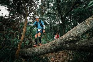 BIB: 
                            <button type="button" onclick="openModal(25550523)" class="btn btn-primary btn-sm float-right btn-popup" data-toggle="modal" data-target=".modal-high-quality">
                        <i class="fas fa-shopping-cart"></i> Add to Cart
                    </button>
                                            <button type="button" onclick="isThisMe(25550523, true)" class="btn btn-success btn-sm float-right btn-popup btn-isme hidden" data-toggle="tooltip" data-placement="bottom" title="นี่คือรูปของคุณใช่ไหม คลิกที่นี่เพื่อเอาเข้าอัลบั้ม">
                        <i class="fas fa-plus"></i> Add to album
                    </button>
                    <button type="button" onclick="isThisMe(25550523, false)" class="btn btn-warning btn-sm float-right btn-popup btn-isnotme hidden">
                        <i class="fas fa-ban"></i> Remove from album
                    </button>